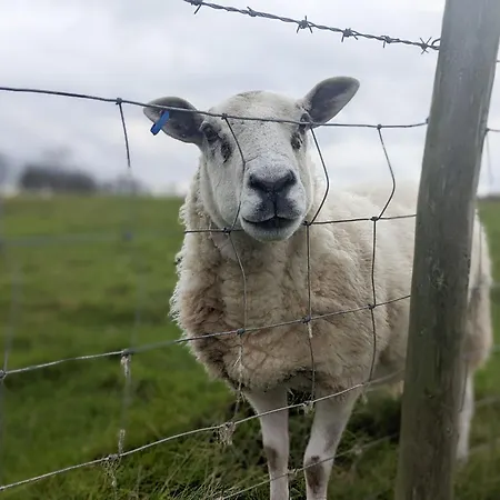 Sparrows Nest, Yanwath A Dog Friendly Only 10 Minute Drive To Ullswater Σπίτι διακοπών