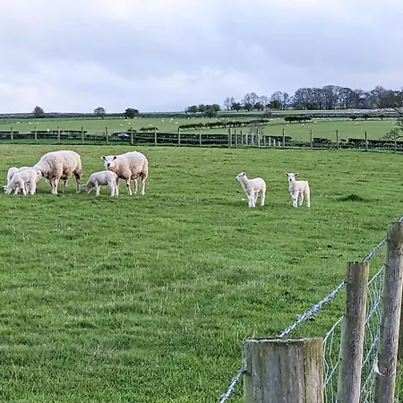 Sparrows Nest, Yanwath A Dog Friendly Only 10 Minute Drive To Ullswater Σπίτι διακοπών *